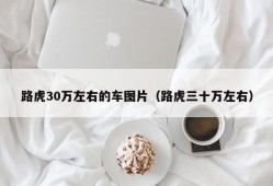 路虎30万左右的车图片（路虎三十万左右）