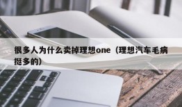 很多人为什么卖掉理想one（理想汽车毛病挺多的）