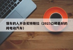 懂车的人不会买特斯拉（2023口碑最好的纯电动汽车）