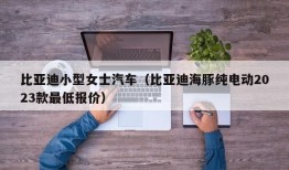 比亚迪小型女士汽车（比亚迪海豚纯电动2023款最低报价）