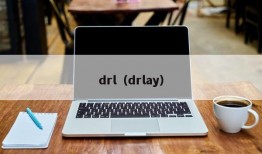 drl（drlay）