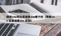 理想one和比亚迪唐dm哪个好（理想one 比亚迪唐dm 区别）