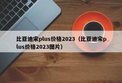 比亚迪宋plus价格2023（比亚迪宋plus价格2023图片）