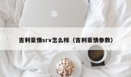 吉利豪情srv怎么样（吉利豪情参数）