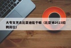 大专文凭去比亚迪能干嘛（比亚迪2023招聘岗位）