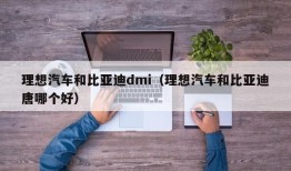 理想汽车和比亚迪dmi（理想汽车和比亚迪唐哪个好）