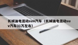 长城油电混动suv汽车（长城油电混动suv汽车31万左右）