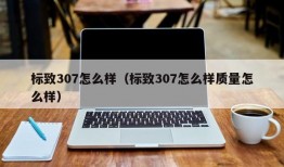 标致307怎么样（标致307怎么样质量怎么样）