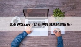 比亚迪魏suv（比亚迪魏国总经理简历）