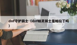 dnf守护骑士（dnf精灵骑士是帕拉丁吗）