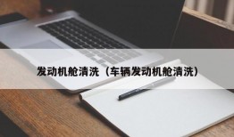 发动机舱清洗（车辆发动机舱清洗）