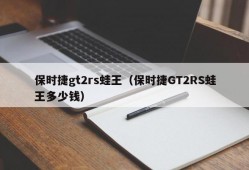 保时捷gt2rs蛙王（保时捷GT2RS蛙王多少钱）