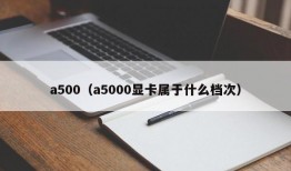 a500（a5000显卡属于什么档次）