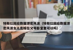 特斯拉回应数据泄密风波（特斯拉回应数据泄密风波女儿出嫁在父母卧室里可以吗）