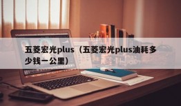 五菱宏光plus（五菱宏光plus油耗多少钱一公里）