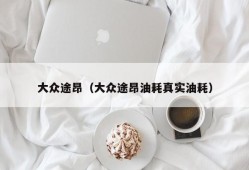 大众途昂（大众途昂油耗真实油耗）