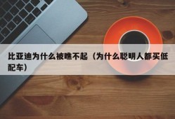 比亚迪为什么被瞧不起（为什么聪明人都买低配车）