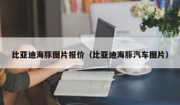 比亚迪海豚图片报价（比亚迪海豚汽车图片）