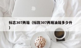 标志307两箱（标致307两厢油箱多少升）