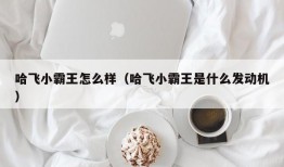 哈飞小霸王怎么样（哈飞小霸王是什么发动机）