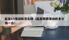 起亚k5发动机怎么样（起亚狮跑发动机多少钱一台）