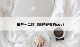 日产一二区（国产好看的suv）