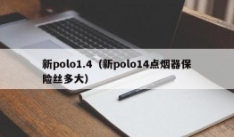 新polo1.4（新polo14点烟器保险丝多大）