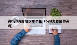 买byd海豚建议哪个色（byd海豚值得买吗）