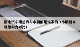 蔚来汽车理想汽车小鹏都是谁家的（小鹏蔚来理想实力对比）