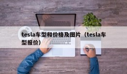 tesla车型和价格及图片（tesla车型报价）