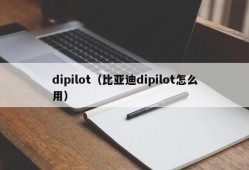 dipilot（比亚迪dipilot怎么用）