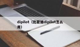 dipilot（比亚迪dipilot怎么用）