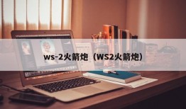 ws-2火箭炮（WS2火箭炮）