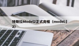 特斯拉Model2正式亮相（model 2）