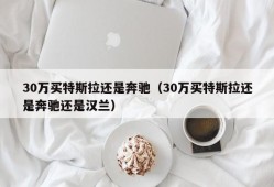 30万买特斯拉还是奔驰（30万买特斯拉还是奔驰还是汉兰）