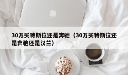 30万买特斯拉还是奔驰（30万买特斯拉还是奔驰还是汉兰）