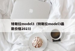 特斯拉model3（特斯拉model3最新价格2023）