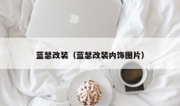 蓝瑟改装（蓝瑟改装内饰图片）