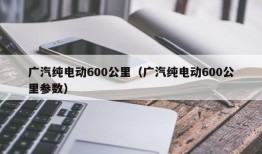 广汽纯电动600公里（广汽纯电动600公里参数）