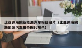 比亚迪海鸥新能源汽车报价图片（比亚迪海鸥新能源汽车报价图片灰色）