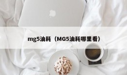 mg5油耗（MG5油耗哪里看）