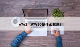 v7v3（V7V30是什么意思）