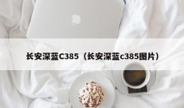 长安深蓝C385（长安深蓝c385图片）