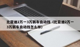 比亚迪2万一3万新车自动挡（比亚迪2万一3万新车自动挡怎么样）