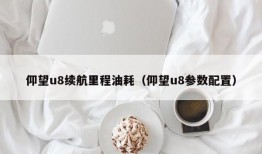 仰望u8续航里程油耗（仰望u8参数配置）