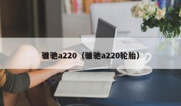 骓驰a220（骓驰a220轮胎）