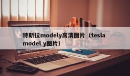 特斯拉modely高清图片（tesla model y图片）