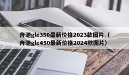 奔驰gle350最新价格2023款图片（奔驰gle450最新价格2024款图片）