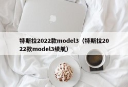 特斯拉2022款model3（特斯拉2022款model3续航）