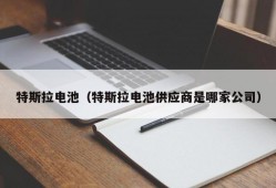 特斯拉电池（特斯拉电池供应商是哪家公司）